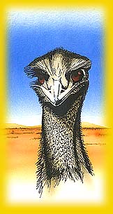 Old Man Emu